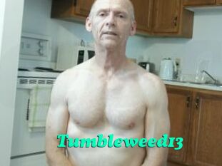 Tumbleweed13