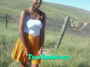 Turtledovey