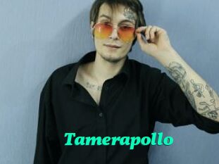 Tamerapollo
