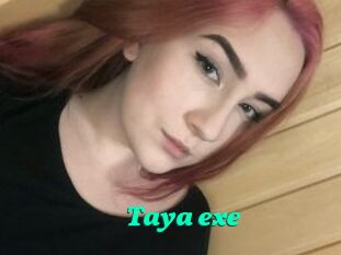 Taya_exe
