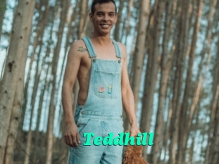Teddhill