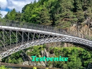 Testvenice