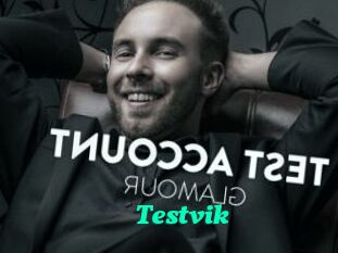 Testvik