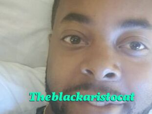 Theblackaristocat