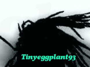 Tinyeggplant93