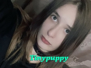 Tinypuppy