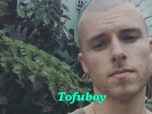 Tofu_boy