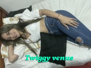 Twiggy_venus