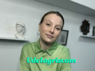 Udelagriscom