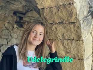 Udelegrindle