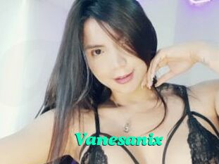 Vanesanix