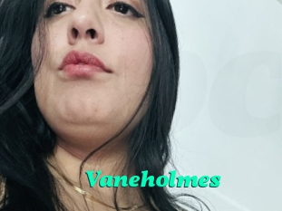 Vaneholmes