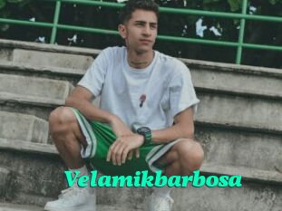 Velamikbarbosa