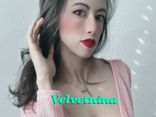 Velvetnina