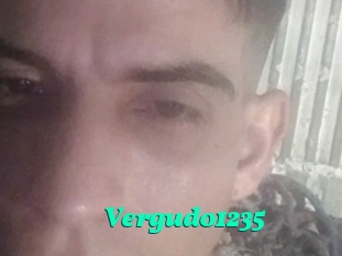 Vergudo1235