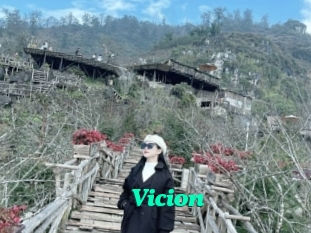 Vicion