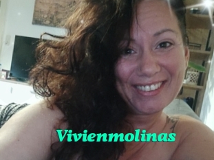 Vivienmolinas