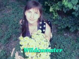 Wildcumster