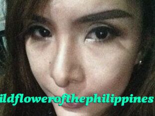 Wildflowerofthephilippines