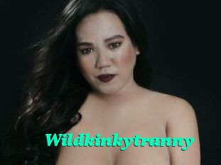 Wildkinkytranny