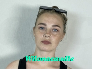 Wilonacaudle