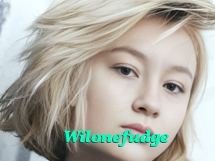 Wilonefudge