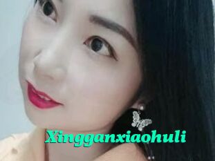 Xingganxiaohuli