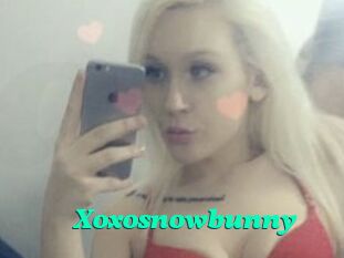 Xoxosnowbunny