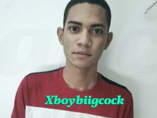 Xboybiigcock