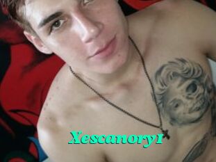 Xescanory1