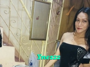 Ynez22