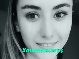 Yourmouse23
