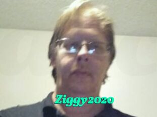 Ziggy2020