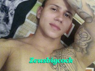 Zeusbigcock